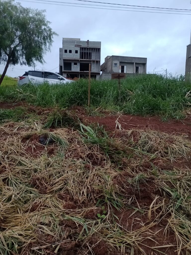 WhatsApp-Image-2025-08-22-at-19.32.13-2