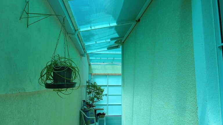 WhatsApp-Image-2026-01-22-at-11.14.40-1