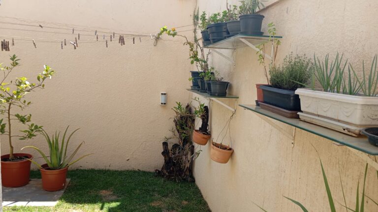 WhatsApp-Image-2026-01-22-at-11.14.41